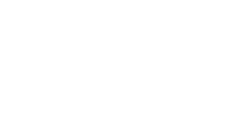Voie Logo